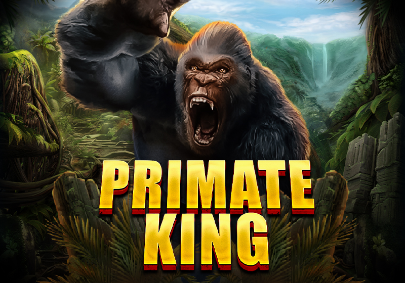 Primate King, Zwierzęcy automat do gry