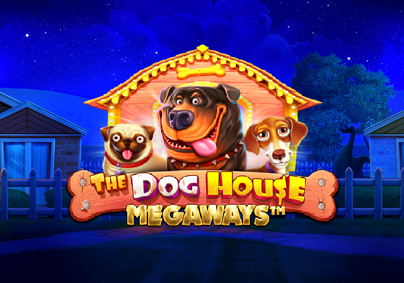 The Dog House Megaways, 6-walcowe automaty do gry